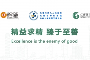 Excellence is the enemy of good