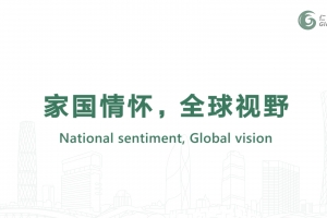 National sentiment, Global vision