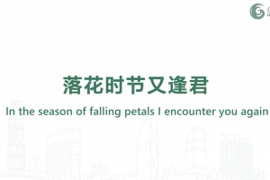 In the season of falling petals I encounter you again