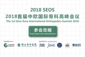 Appendix: Organization Structure of Sino-Euro International Orthopedics League