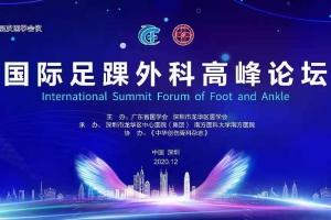 International Summit Forum of Foot and Ankle