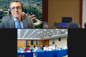 Chinese-Italian Video Meeting on Spine Tumor - Surgical Technique of En-bloc Spondylectomy