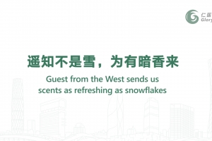 Guest from the West sends us scents as refreshing as snowflakes