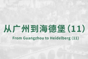 从广州到海德堡(11)